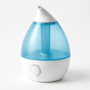 AquaOasis Cool Mist Humidifier