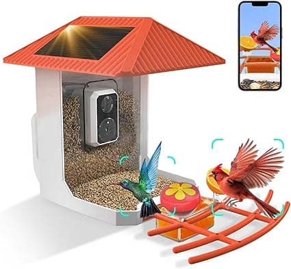Budget Bird Feeder Camera 2.5K