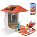 Budget Bird Feeder Camera 2.5K