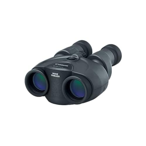 Canon 10x30 Image Stabilization II Binoculars — Good Value per expert consensus