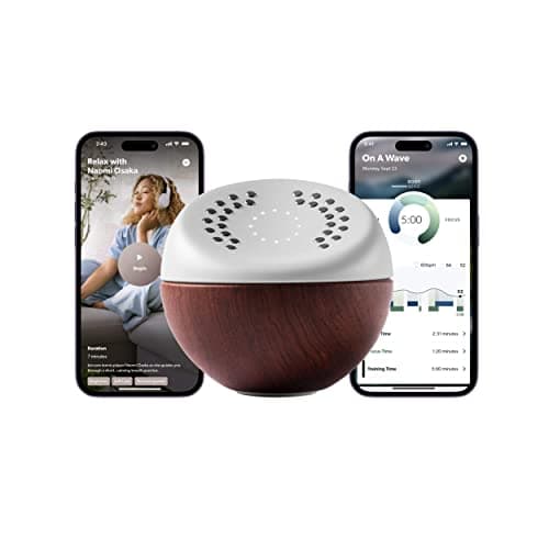 Core Meditation Trainer — Recommended per expert consensus