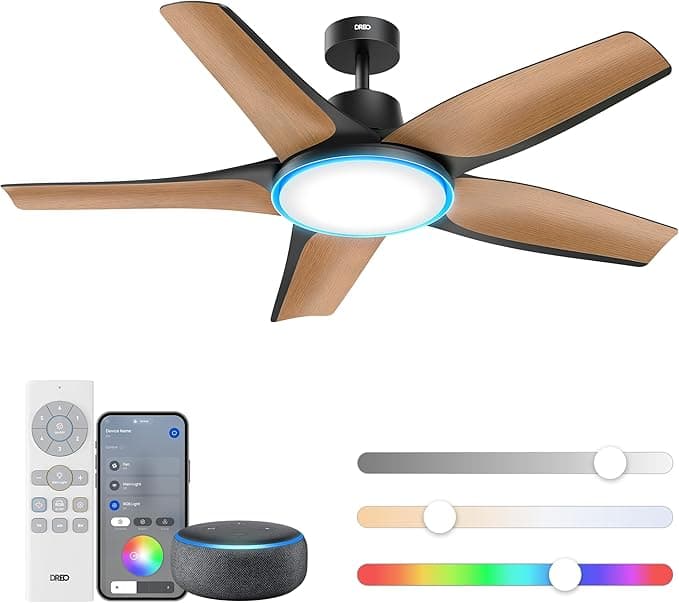 Dreo Smart Ceiling Fan CLF521S — Recommended per expert consensus