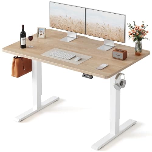 Fezibo Electric Standing Desk