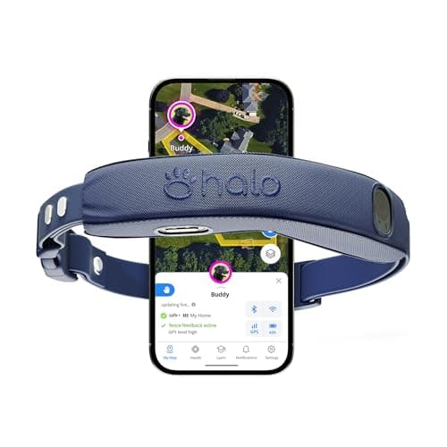 Halo Collar 4