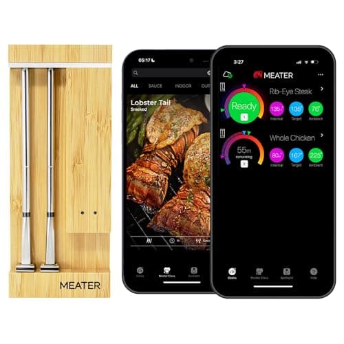 MEATER Pro Duo — Recommended per expert consensus
