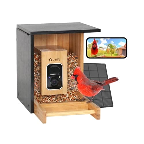 Birdfy Smart Bird Feeder Bamboo (Solar, 2K)