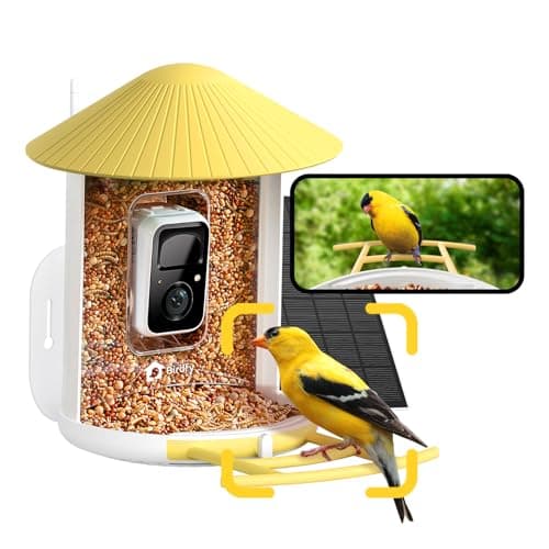 NETVUE by Birdfy Smart Bird Feeder with Camera — Recommended per expert consensus