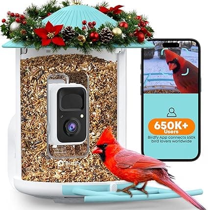 NETVUE Birdfy Smart Bird Feeder — Good Value per expert consensus