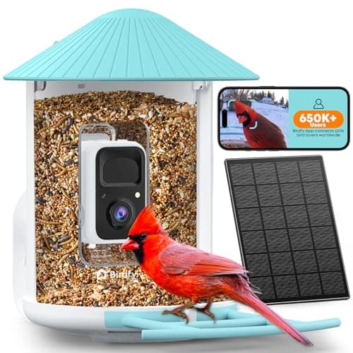 Netvue Birdfy