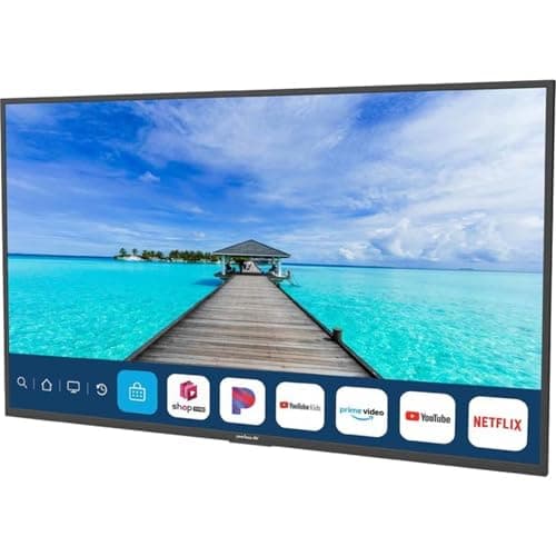 Peerless-AV NT653 65" Neptune Partial Sun Series 4K HDR Outdoor Smart TV and Outdoor Tilting Wall Mount