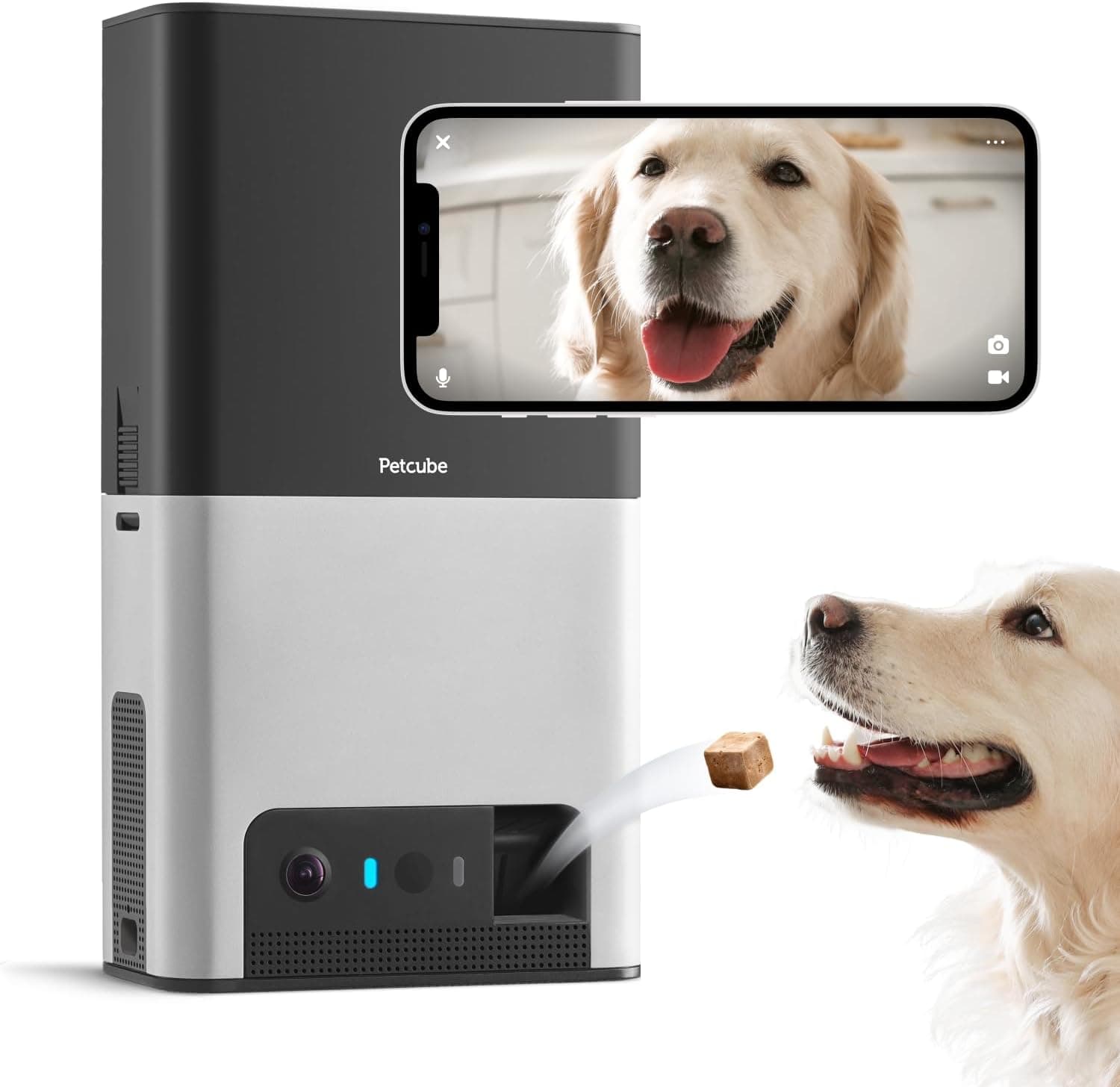 Petcube Bites 2 Lite — Recommended per expert consensus