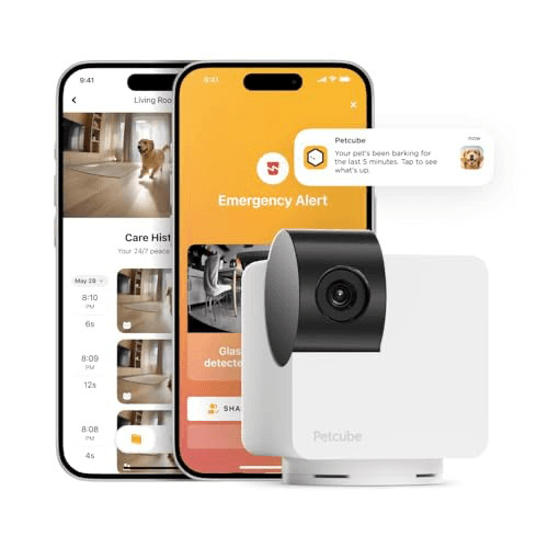 Petcube Cam 360 โ Recommended per expert consensus