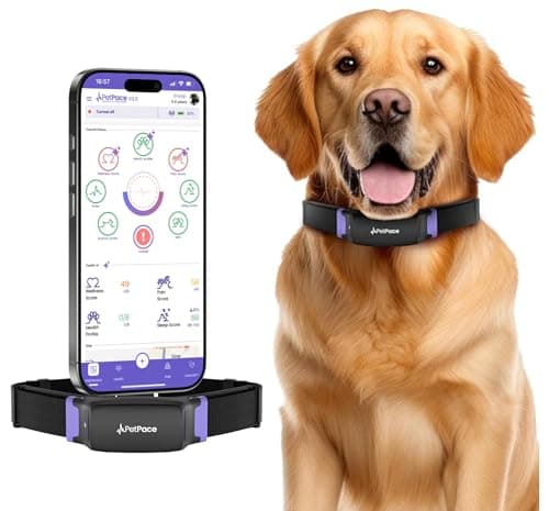 PetPace 2.0 Smart Collar — Recommended per expert consensus