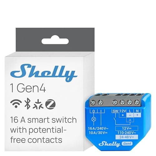 Shelly Plus 1