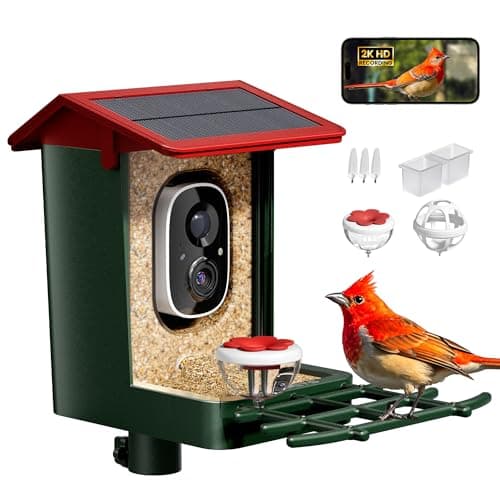 Solar Smart Bird Feeder with 2K Camera (Budget)