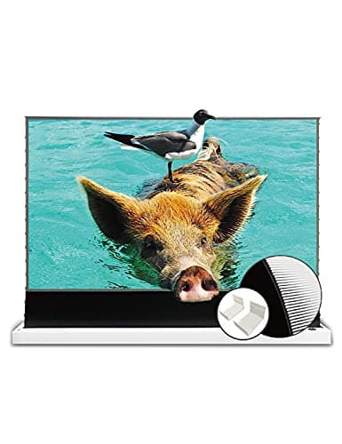 VIVIDSTORM S PRO Floor-Rising UST ALR 120-inch — Recommended per expert consensus