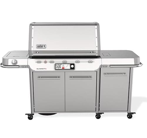 Weber Summit Smart FS38X S — Recommended per expert consensus
