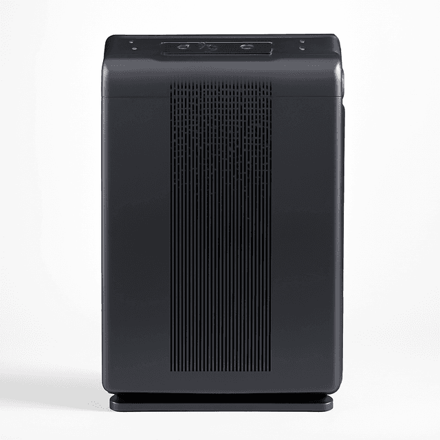 Winix 5500-2