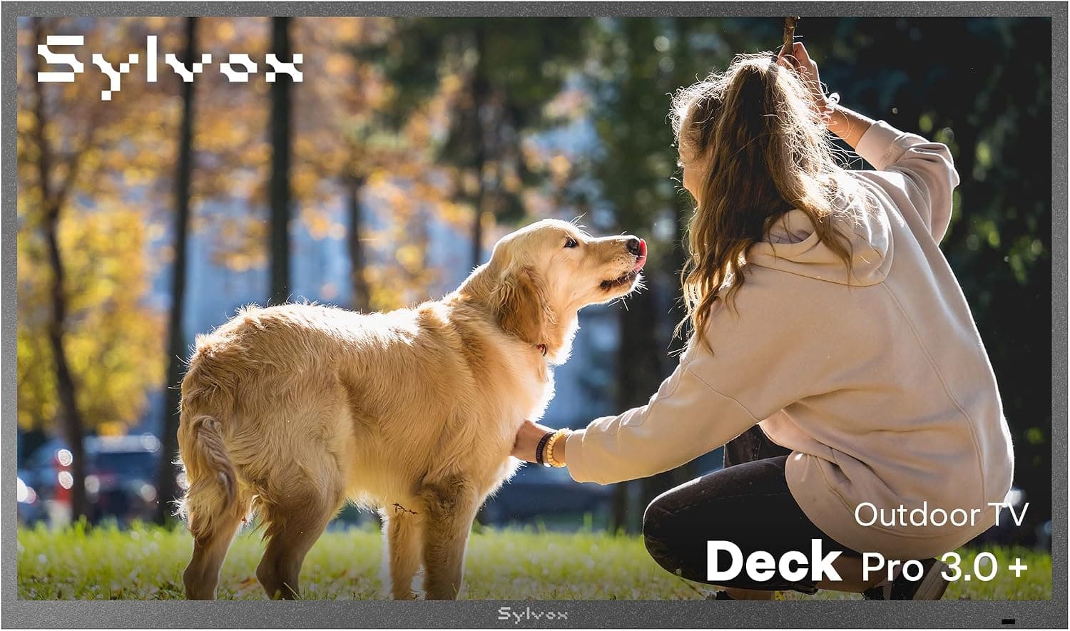 SYLVOX 65" Outdoor 4K TV
