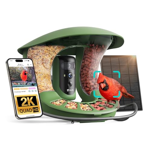 Birdfy Feeder 2 Duo (Dual-Lens 2K, Solar)